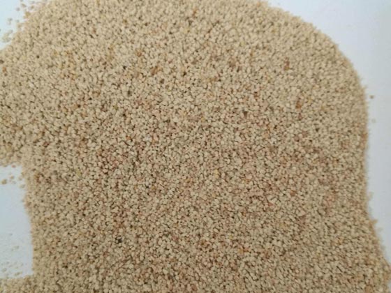 91视频免费网站批發 91视频免费网站批發